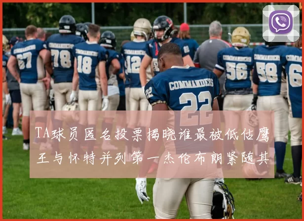 TA球员匿名投票揭晓谁最被低估鹰王与怀特并列第一杰伦布朗紧随其后